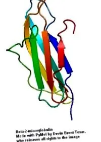 mikroglobulin mikroglobulin