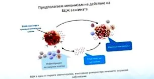 urothelialis carcinoma hólyagrák