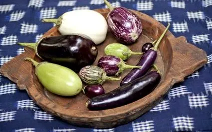 gazdag fenolos padlizsán