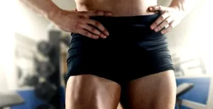 quadriceps femoris quadriceps