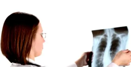 testet egész
