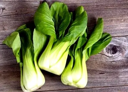 choy choy