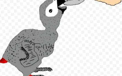 papagájok papagájok