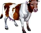 teheneknek