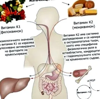 k-vitamin