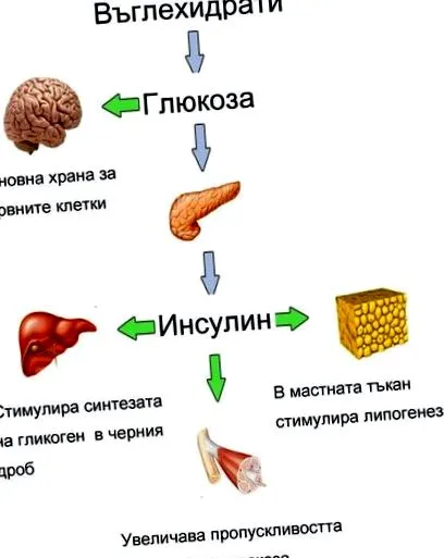 működése