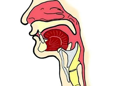 epiglottitis nehézlégzéssel fordul