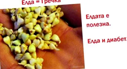 hajdina arra hogy