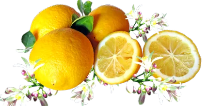 tulajdonságok
