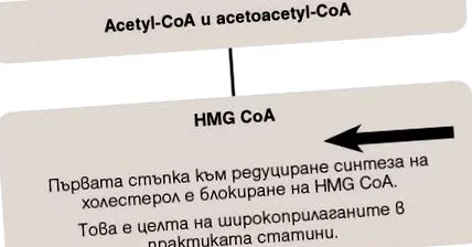 alacsony sűrűségű hiperkoleszterinémia