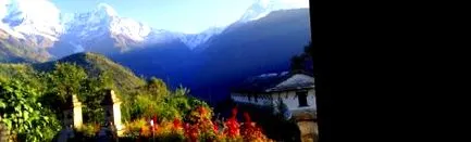 everest ayurveda