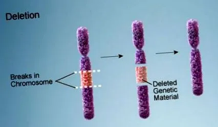 1-et érint 1-et érint