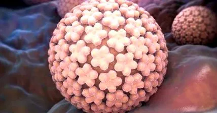 emberi papillomavírus diagnosztikai laboratórium DELPEM