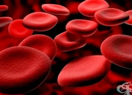 állatok számára thrombocytopathiában