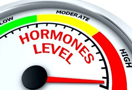 hormonok egyensúlyának