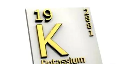 egyensúlyát fenntartja