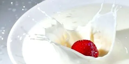 joghurt joghurt
