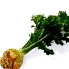 zeller