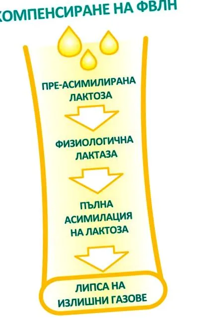 semleges laktáz milkaid
