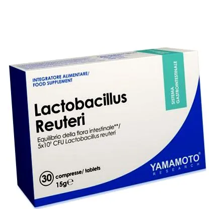 lactobacillus rueteri