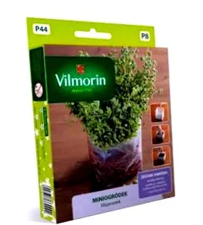 oregano beltéri
