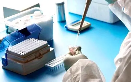 meraklii bgn-t