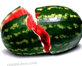 varázslatos kiutat