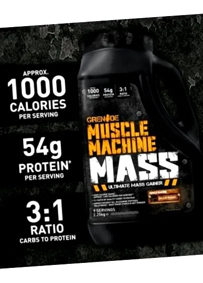 muscle gainer