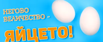 tojás Minél frissebb