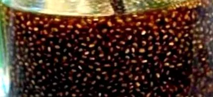 receptje leggyorsabb