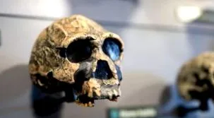 nagy megtalálták