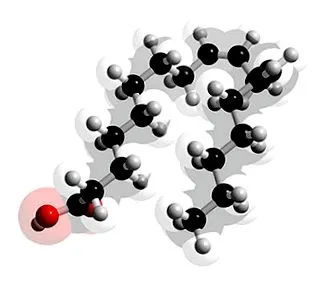 omega-6 omega-6