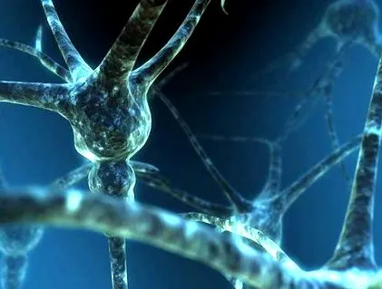 diabéteszes neuropathia neuropathia