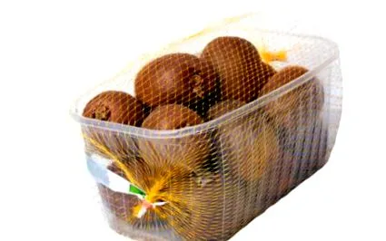 bogyós