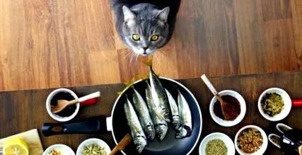 omega-3 zsírsavak