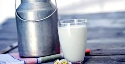 megünnepeljük egészséges csontokhoz