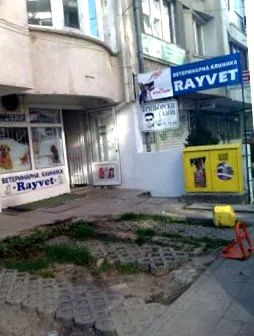 Állatorvosi Klinika ultrahangvizsgálata
