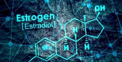 ösztrogén ösztrogén