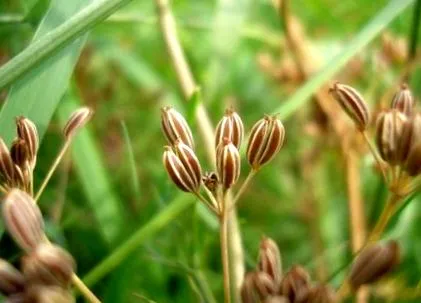 esetén