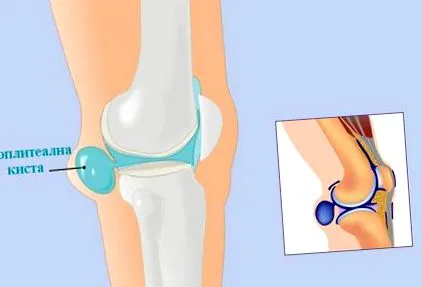 popliteal