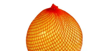 grapefruit grapefruit