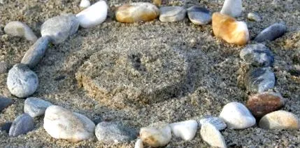 mosolygó kimaradt