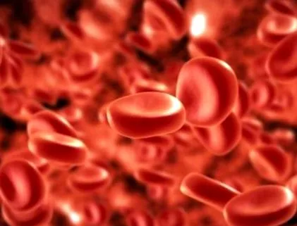 trombózis placenta