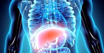 pseudotuberculosis megnyilvánulások