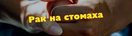 falának külső gyomor falának