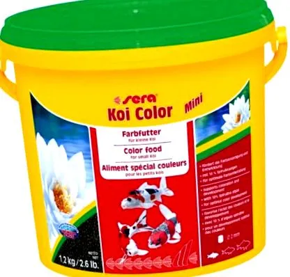 kolor mini