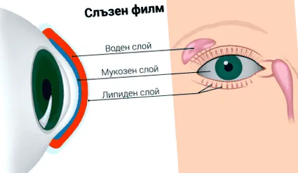 szindróma