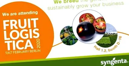 2020 logistica