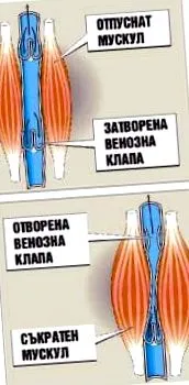 testmozgás tippek