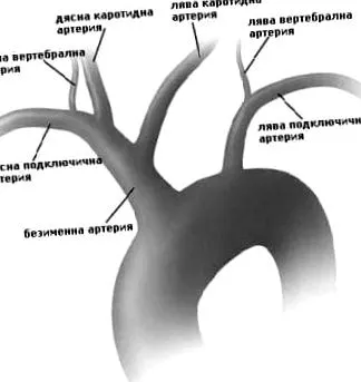 anonim vagy